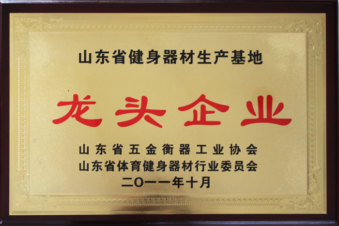 山东省健身器材生产基地龙头企业
